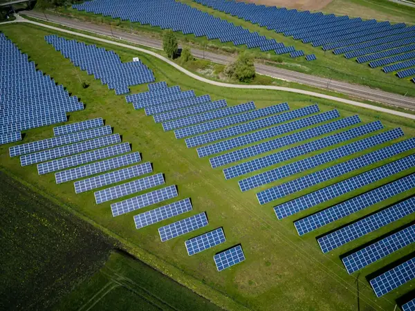 Bluesky's Daily Climate Conversation Highlights the Power of Decentralized Public Discourse