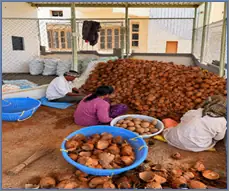 India Unveils PM Dhan-Dhanya Krishi Yojana to Lift Farm Productivity and Rural Incomes photo 5