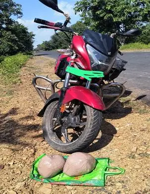 Madhya Pradesh Unit Seizes 4.240 kg of Opium, One Person Arrested photo 2